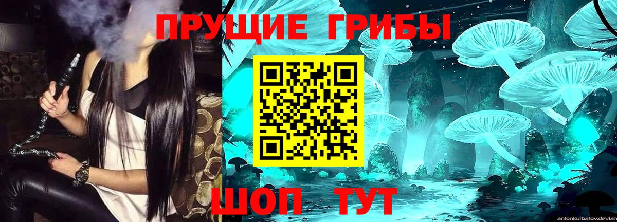 Славянск-на-Кубани  Псилоцибиновые грибы Cubensis  Вход с VPN 